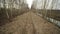 Abandoned narrow gauge railway in the forest, autumn day