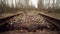 Abandoned narrow gauge railway in the forest, autumn day, low angle view