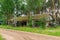 Abandoned narrow gauge railway, village and abandoned buildings, forest and lonely road in the middle