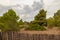 Abandoned nature garden with fence on the island of Mallorca