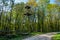 Abandoned observation tower in the forest rangers