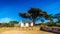 Abandoned Old Cape Cottage on the Cape of Good Hope Nature Reserve