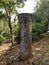 Abandoned old concrete pillar for keeping birds cage and other animals to save them from other predators