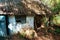 An abandoned old house in a thicket of trees and shrubs, outbuildings, an old village without people