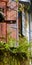 Abandoned old house with wooden windows, overgrown plants and weathered walls