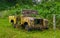 Abandoned old and rusted car decaying in the middle of the green rain forest in Volcan Arenal in Costa Rica