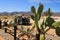 Abandoned old rusty cars in the desert of Namibia surrounded by cactus near the Namib-Naukluft National Park