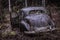 Abandoned and overgrown car from the forties