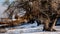 Abandoned park on the shore of the shipping channel of the Volga hydroelectric station