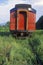 Abandoned passenger car on tracks overgrown with weeds and grass, Mount Pleasant, New York