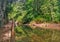 An abandoned path in Bukit Wang Waterfall