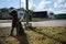 Abandoned pet dog leashed on parking sign pole