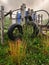 Abandoned playground in an old park