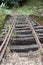 Abandoned rail bridge in the Cotacachi Cayapas Ecological Reserve