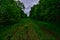 Abandoned Rail Line through the woods in Brooklyn WI