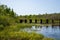 Abandoned railroad bridge located in Mosquito Brook near Hayward, WI