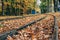 Abandoned railway station in the autumn forest or old public park with yellow leaves fallen - beautiful autumn