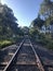 Abandoned railway tracks in bushland