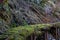 Abandoned railway tracks Jianqing Huaigu Trai at Taipingshan National Forest Recreation Area in Yilan,