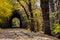 Abandoned railway and a tunnel in the forest. Beautiful autumn landscape with a tunnel and a railway