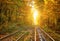 Abandoned railway under autumn colored trees tunnel