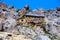 Abandoned refuge in the dolomites