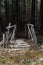 Abandoned Rickety Bridge Leading Into a Forest