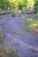 Abandoned Road with Fallen Tree in Roadway