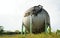 Abandoned round shape industrial gas tank