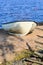 Abandoned rowboat on the beautiful beach