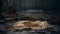 Abandoned Rug In Swamp: Darktable Processed Matte Painting