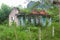 Abandoned ruin house overgrown jungle, Phong Nha, Vietnam