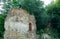 Abandoned ruins of a medieval building outgrown with plants