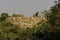 Abandoned ruins of Tughlaqabad Fort in New Delhi, India