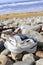 Abandoned running shoe on a rocky irish beach