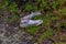 Abandoned running shoes thrown by the side of a grass verge