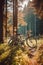 Abandoned rusted bicycle by a tall tree in the forest. Autumn daylight.