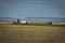 Abandoned Rustic House in a Wheat Field