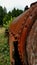 Abandoned rusty machinery in new zealand forest