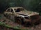 Abandoned rusty petrol luxury sedan car banned for co2 emission agenda, growth plants bloom flowers