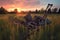 abandoned rusty plow in tall grass at sunset