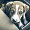 Abandoned sad puppy dog in a cardboard box. Please adopt stray animals. generative ai illustration