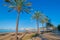 Abandoned sailboat on the beach. Rows of palm trees line water`s edge in Ibiza, St Antoni de Portmany Balearic Islands, Spain.