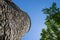 The abandoned Seppmann Mill, an old flour gristmill in Minneopa State Park. Abstract artistic angle looking up to the blue sky