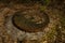 An abandoned sewer well with a cover in the forest with needles