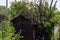 Abandoned shabby hut among trees