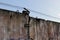 Abandoned shabby wall with barbed wire