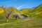 Abandoned shack near Carrizo Plain National Monument, during the spring California superbloom of wildflowers on a sunny day