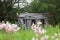 Abandoned shed in Camden County, MO