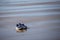 Abandoned shoes on Broad Haven beach